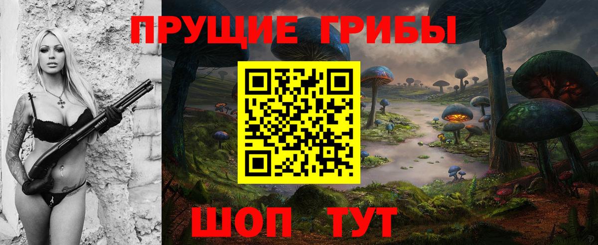 Псилоцибиновые грибы мицелий  Вход с VPN  Северск 