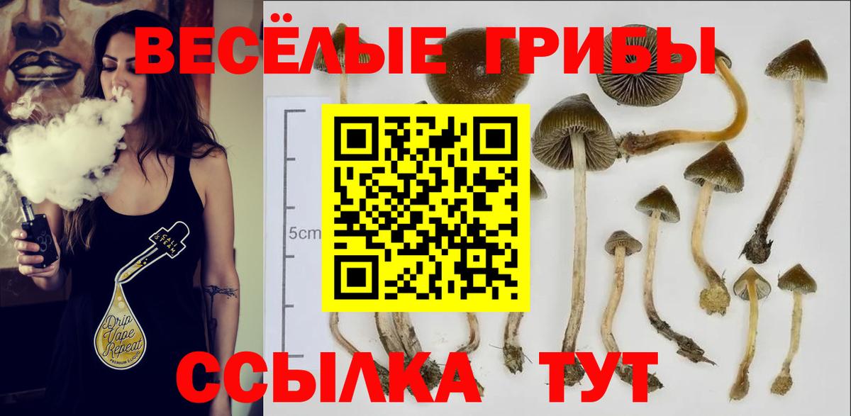 Псилоцибиновые грибы мухоморы Северск